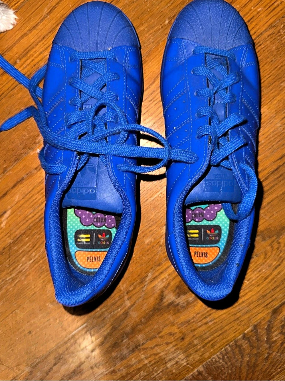 adidas Superstar Pharrell Williams Blue monochromatic RARE US 8.5 Sneakers Chane